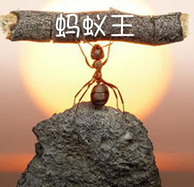 12014王4