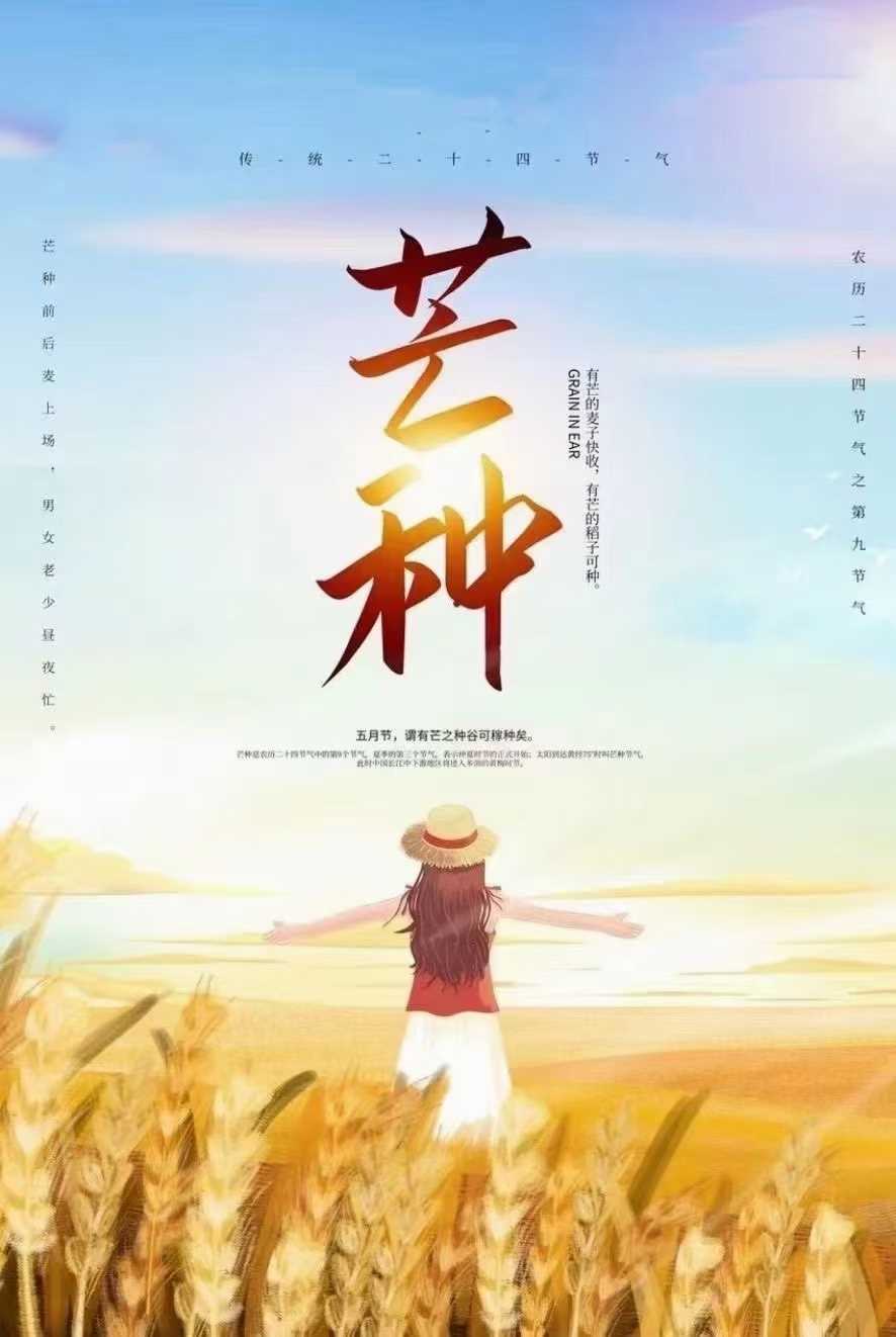 芒种